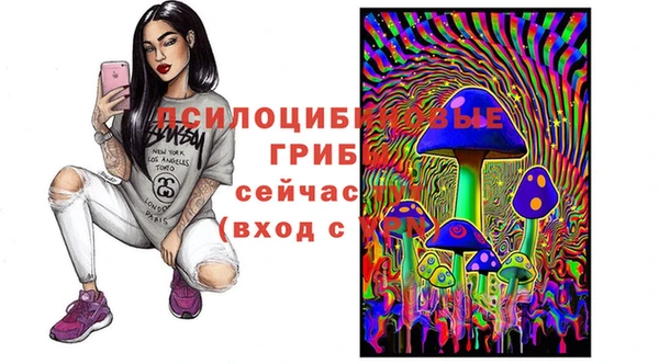 2c-b Вяземский